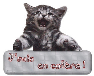 chat